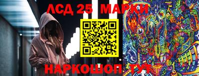 спиды Новозыбков