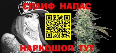 спиды Новозыбков