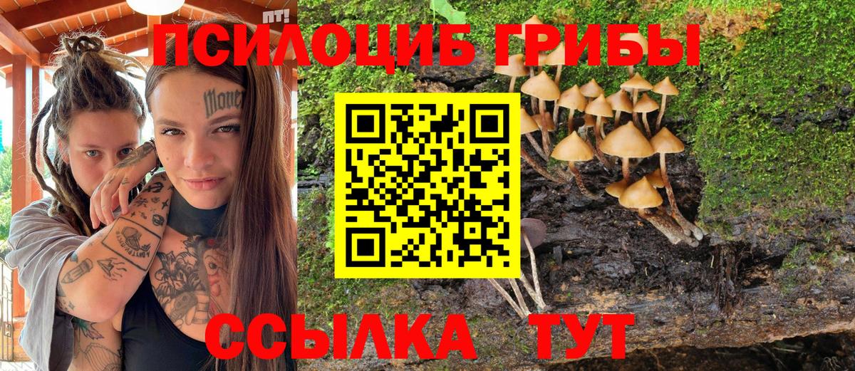 Галлюциногенные грибы мицелий  Вход с VPN  Галлюциногенные грибы Psilocybe  Саров 